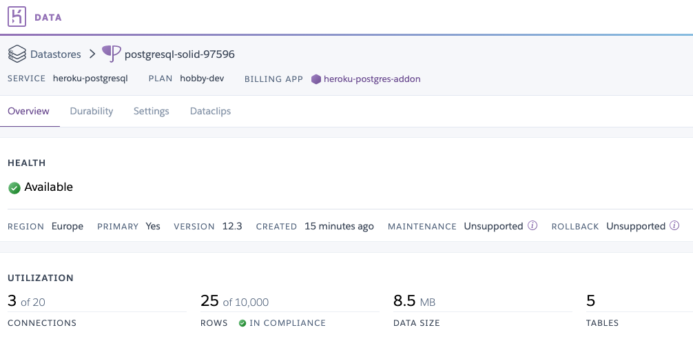 Heroku Postgres Database Details